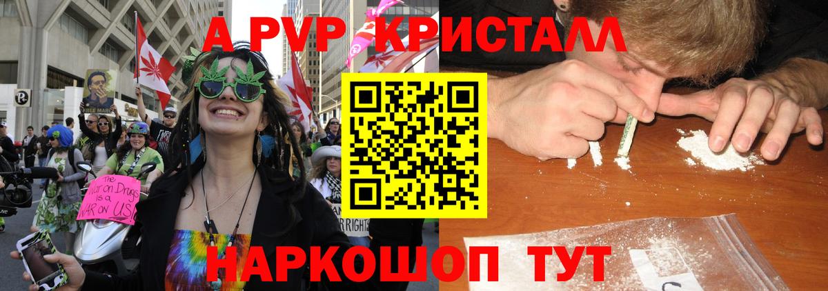 Донской  сколько стоит  Вход с VPN  Alpha PVP крисы CK  A PVP крисы CK 