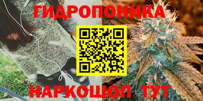 тгк Балашиха
